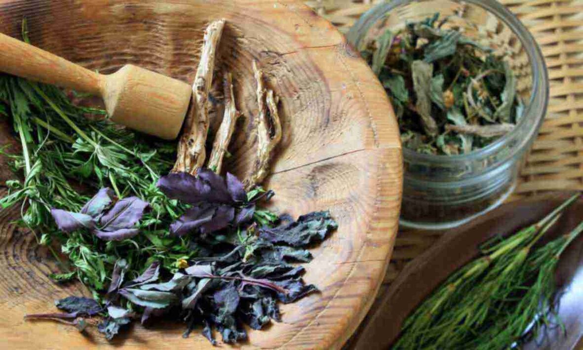 dry herbs for the treatment of cervical osteochondrosis
